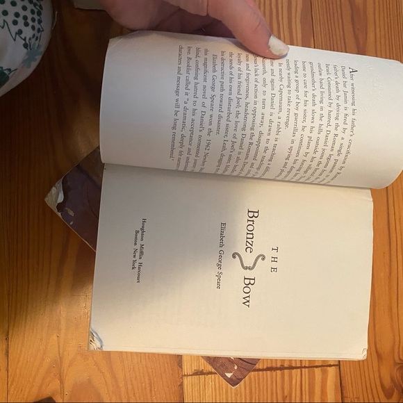 The bronze bow - Picture 6 of 8